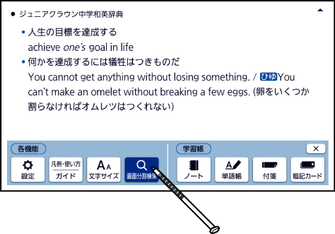 Examine_Screen_Side_By_Side 004 SA2900